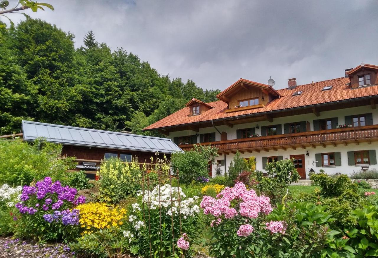 Apartment Haus Jaegerfleck, Ihre Am Nationalpark Bayerischer Wald